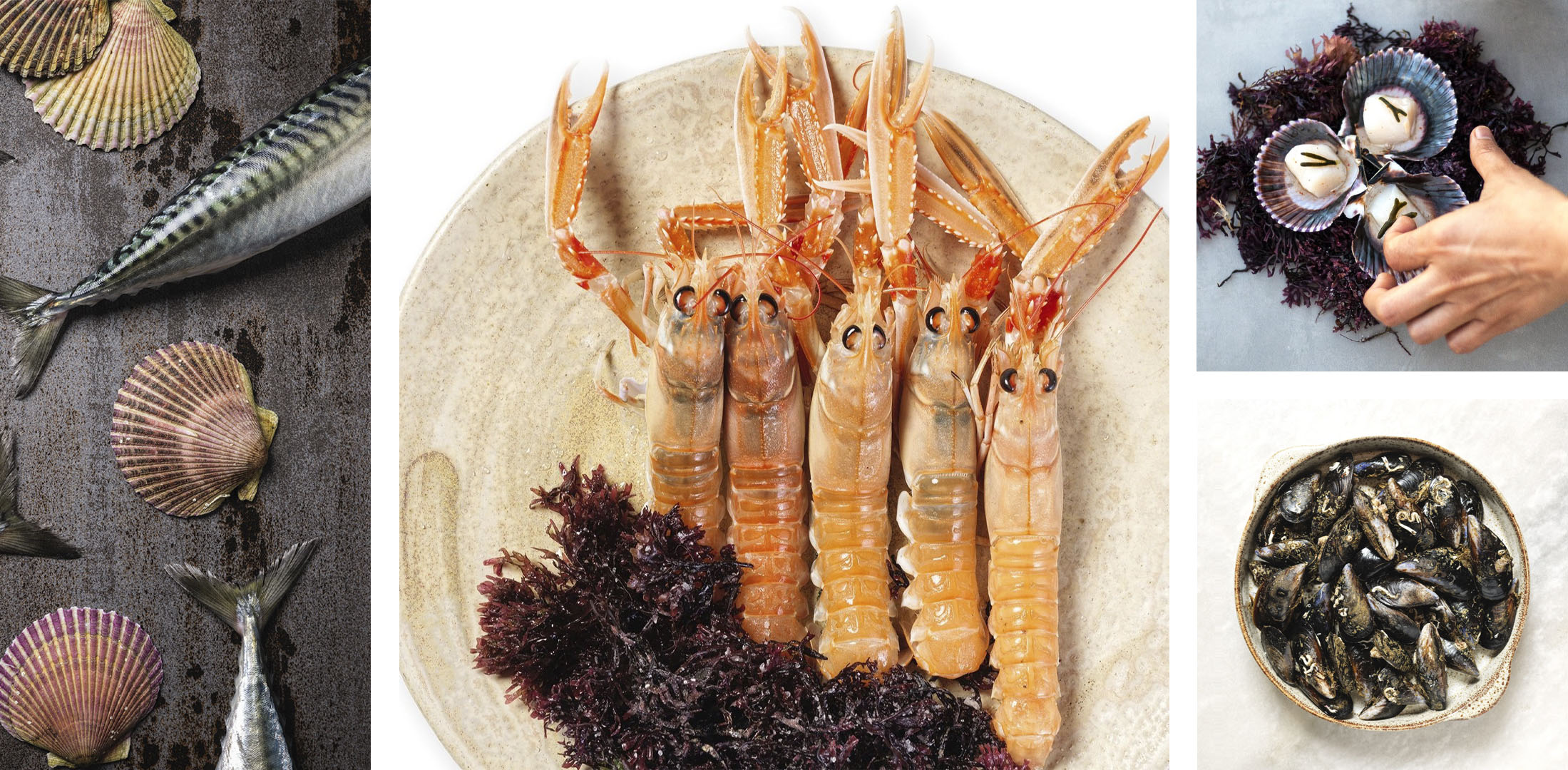 Composición producto